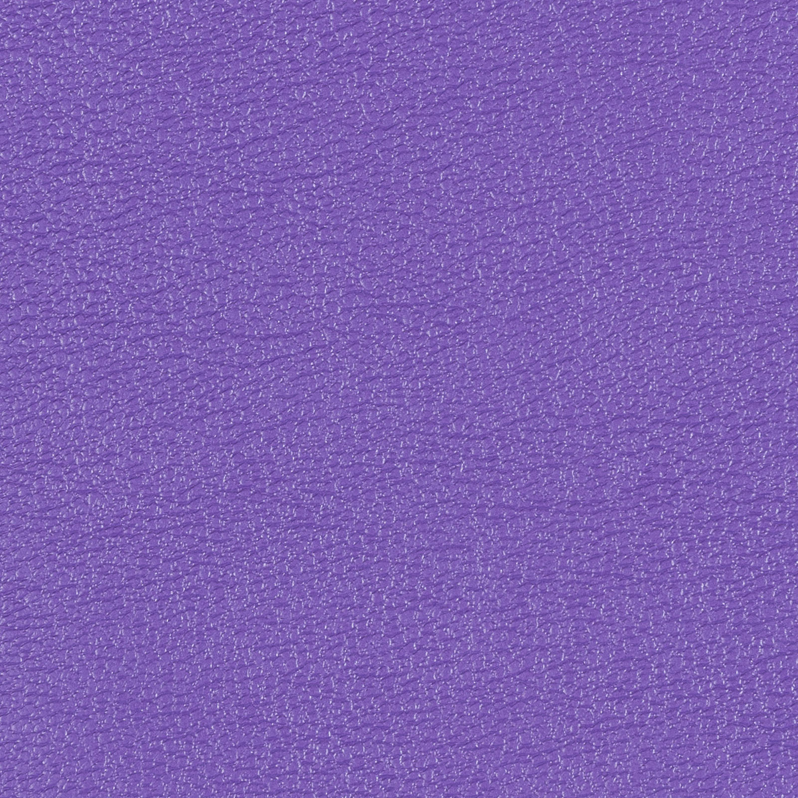 Buy bright-violet Allsport