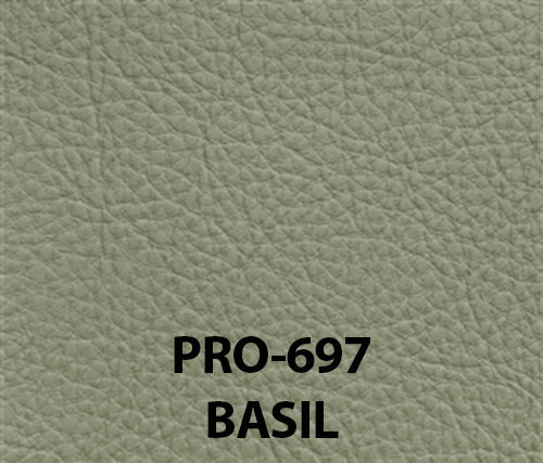 Buy basil Prodigy