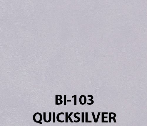 Buy quicksilver Biscayne