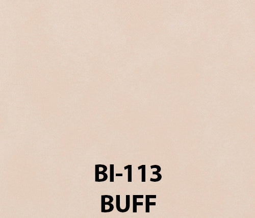 Buy buff Biscayne