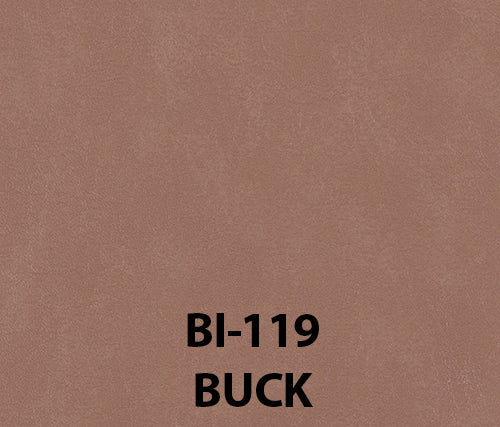 Buy buck Biscayne