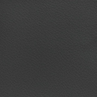 Longitude Ebony