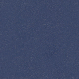 Buy celestial Navigator