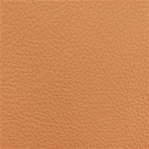 Buy ochre Prodigy