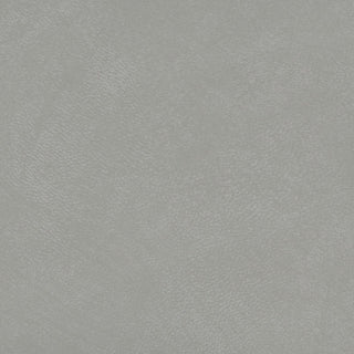 Buy grey Wallaby