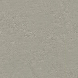 Buy flagstone Zander