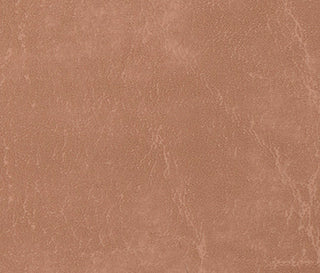 Buy camel Carrara