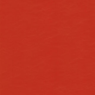 Buy wallaby-poppy EZ Vinyl