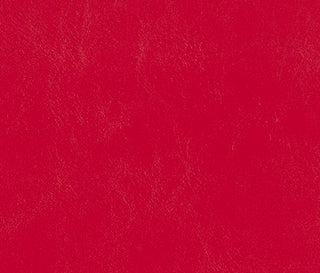 Buy american-beauty Seabrook