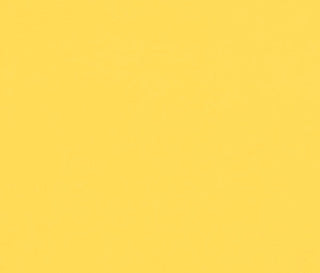 Buy action-yellow Seabrook D