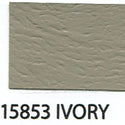 SEM Color Coat