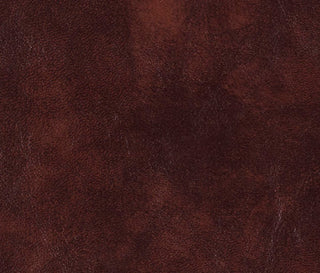Buy chestnut Yorktown